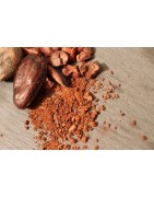 Cacao Bio en poudre, pour un bon chocolat au lait